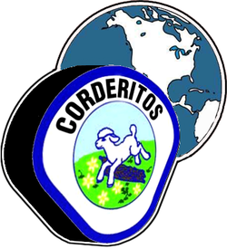 Escudo de Aventureros con Mundo - Azul (División Norteamericana)