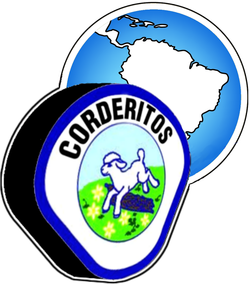 Escudo de Aventureros con Mundo - Azul (División Sudamericana)