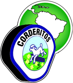 Escudo de Aventureros con Mundo - Verde (División Sudamericana)