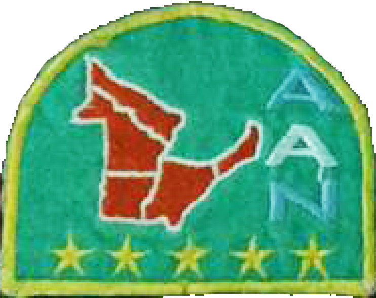 Parche de la Asociación Argentina del Norte (antiguo)