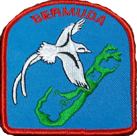 Parche de la Asociación de Bermuda (anitguo)