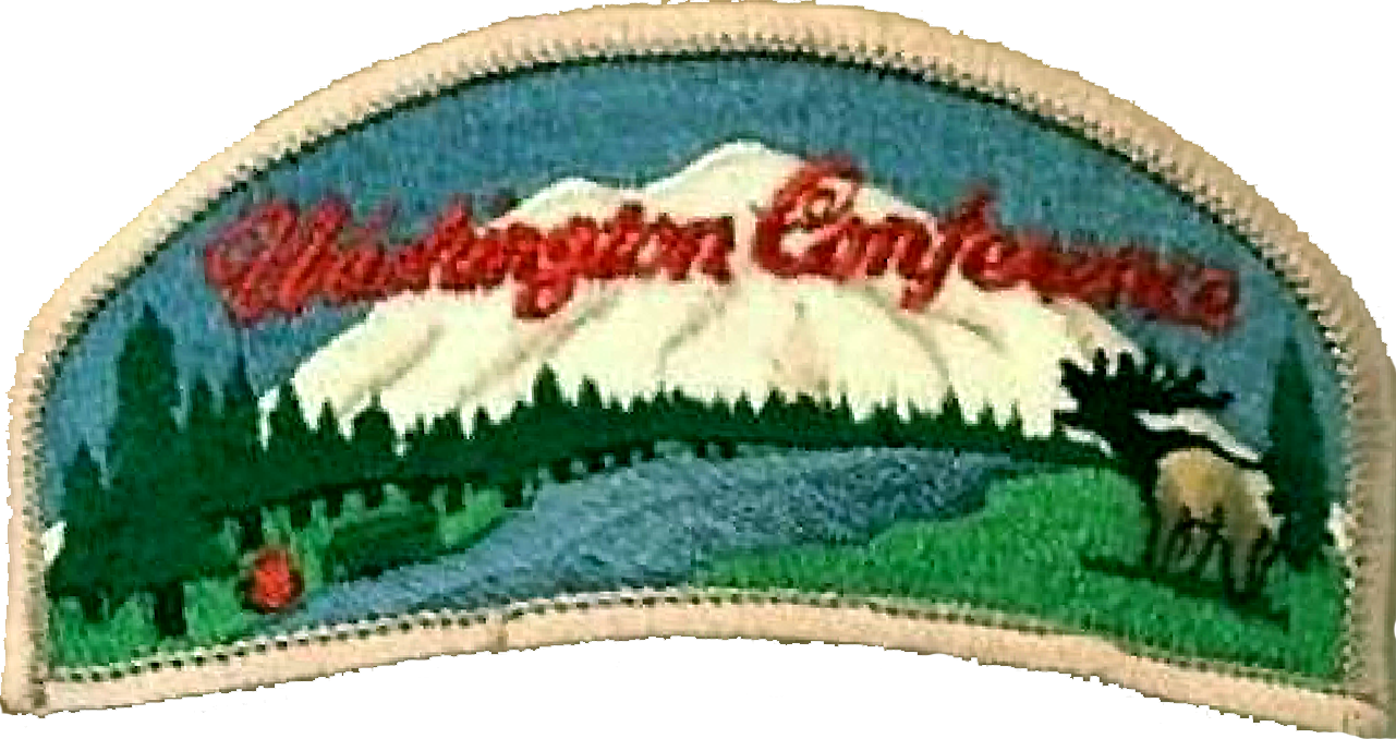 Parche de la Asociación de Washington (antiguo)