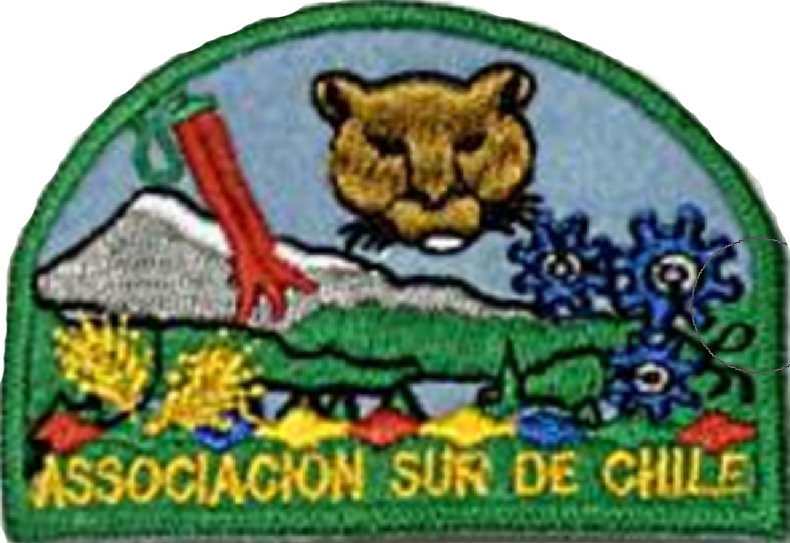 Parche de la Asociación Sur de Chile (antiguo)