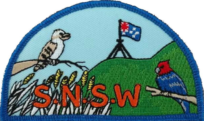 Parche de la Asociación Sur de Nueva Gales del Sur
