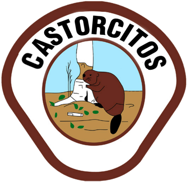 Certificado de Reconocimientos de Castorcitos - Escudo Original
