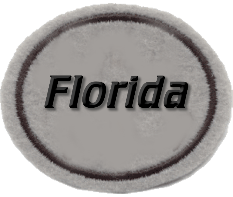 Especialidades de la Asociación de Florida