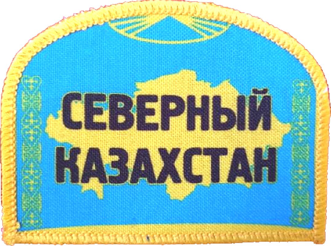 Parche de la Misión Kazajistán del Norte
