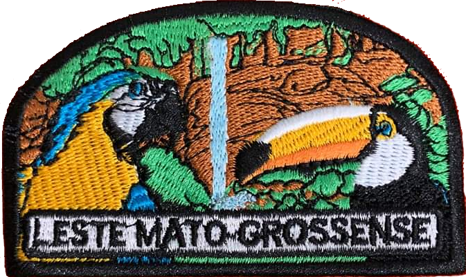 Parche de la Asociación Mato Grosso del Este  (antiguo)