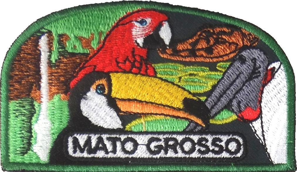 Parche de la Asociación Mato Grosso (antiguo)