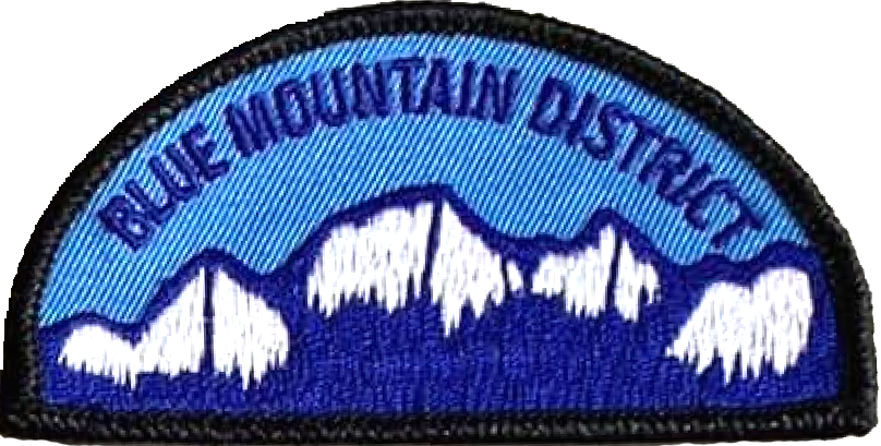Parche del Distrito Montañas Blue (Asociación de Upper Columbia)
