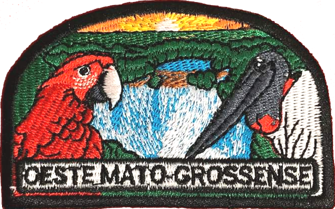 Parche de la Misión Mato Grosso del Oeste
